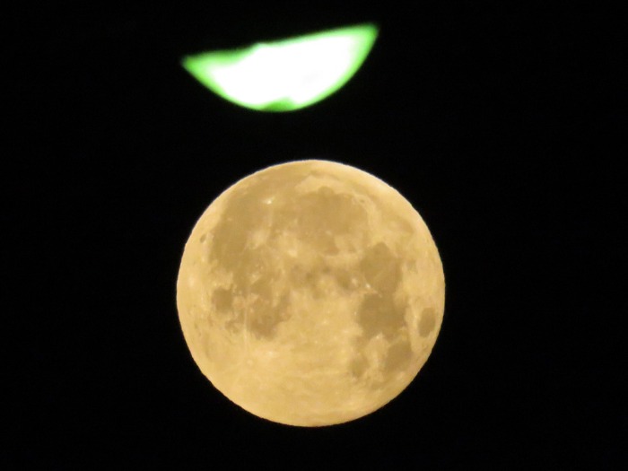 c0049299_22484146.jpg