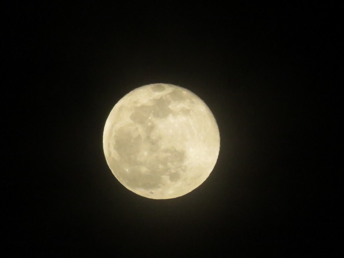 c0049299_2259107.jpg