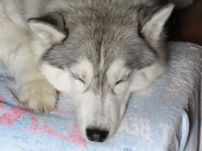 c0049299_2259110.jpg