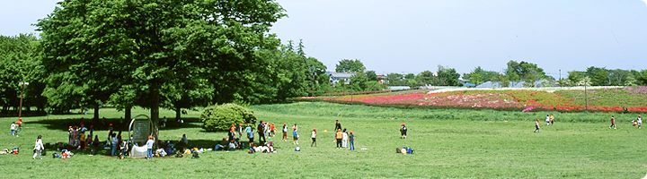 a0332203_16254516.jpg