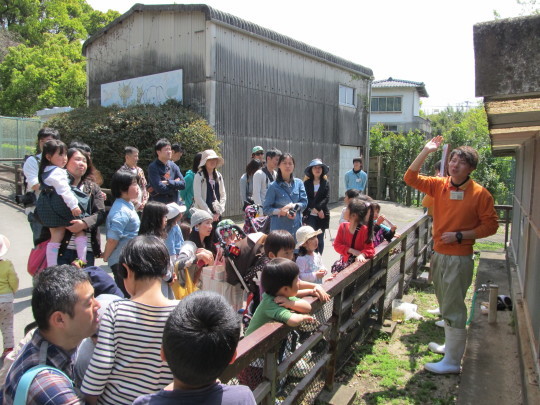 キツネ「わらび」来園１年目記念及び誕生日イベント_c0290504_07251234.jpg