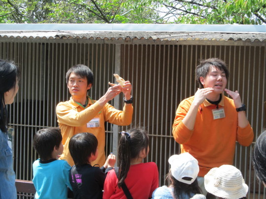 キツネ「わらび」来園１年目記念及び誕生日イベント_c0290504_07251366.jpg