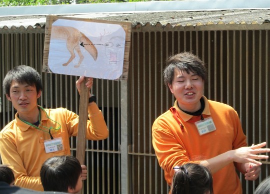 キツネ「わらび」来園１年目記念及び誕生日イベント_c0290504_07251441.jpg