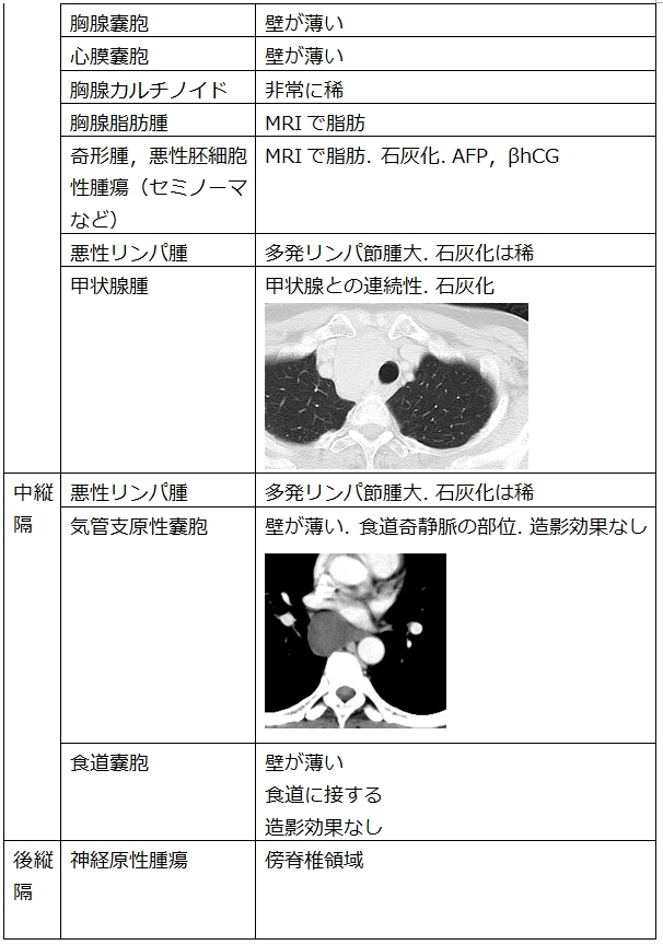 縦隔腫瘍・肺動脈瘤の鑑別_c0367011_16100388.jpg