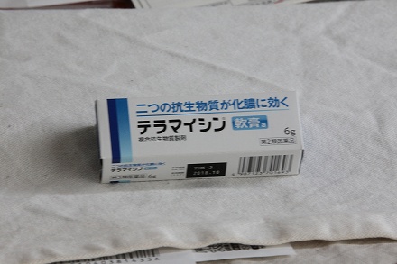 f0191413_15455331.jpg