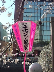 a0031714_1128425.jpg