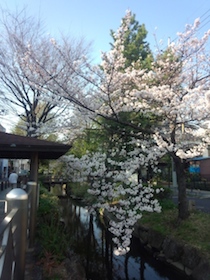 a0031714_11322910.jpg