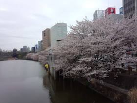 a0031714_1852524.jpg