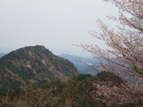 a0315918_17015527.jpg