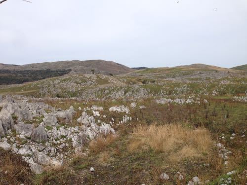 e0224118_1612711.jpg