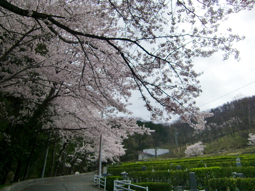 円光院（山梨県甲府市）_c0219820_23472363.jpg