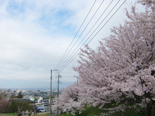 円光院（山梨県甲府市）_c0219820_23472965.jpg