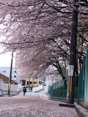f0143521_2591691.jpg