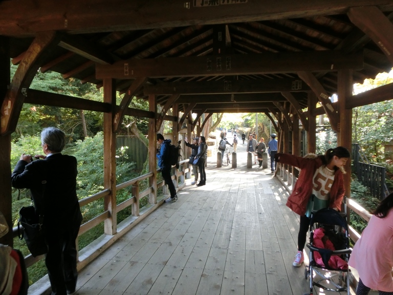 東福寺の臥雲橋・通天橋から境内の紅葉を楽しんできました_e0147022_153415.jpg