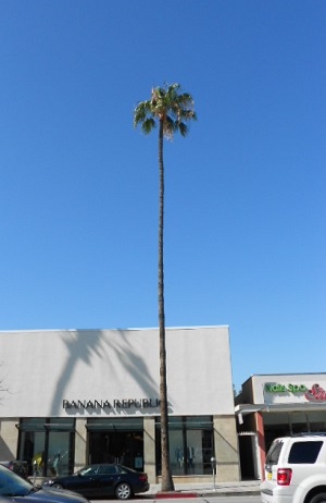 再会の街　Ventura Blvd._f0047623_158034.jpg