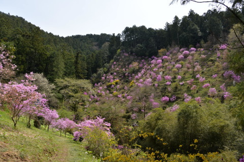 e0335926_22013632.jpg