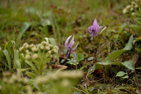 e0335926_22021623.jpg