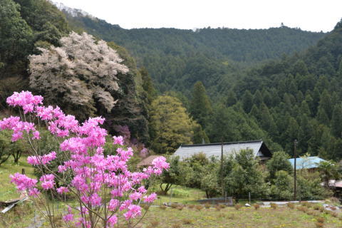 e0335926_22030163.jpg