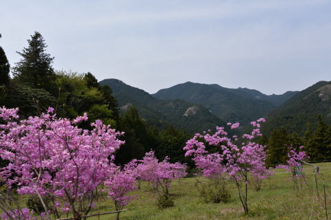 e0335926_22031502.jpg