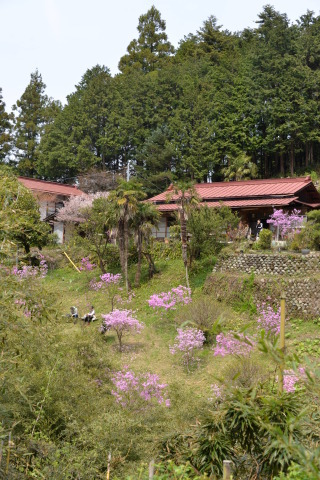 e0335926_22041151.jpg