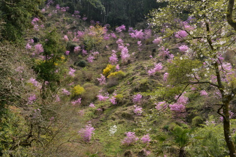 e0335926_22050744.jpg