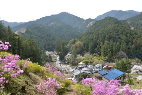 e0335926_22060195.jpg