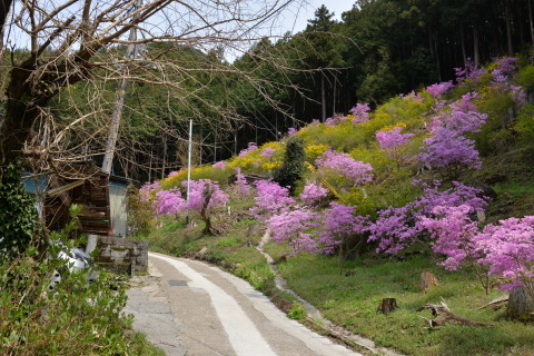e0335926_22135231.jpg
