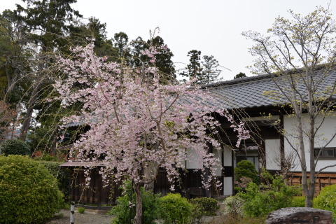 e0335926_23424939.jpg