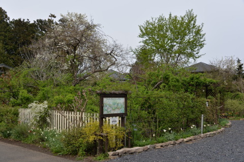 e0335926_23430637.jpg
