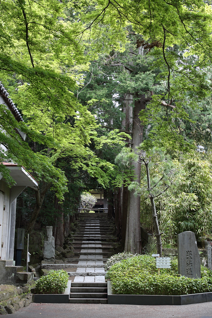 鎌倉散歩　#50 －晩春の北鎌倉（建長寺・後編）－_b0169330_0171891.jpg