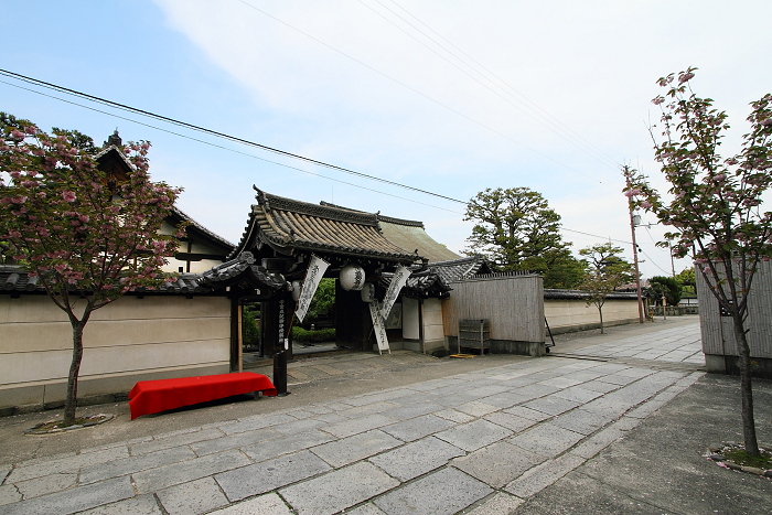 東寺　－塔頭 観智院－_b0169330_23503279.jpg