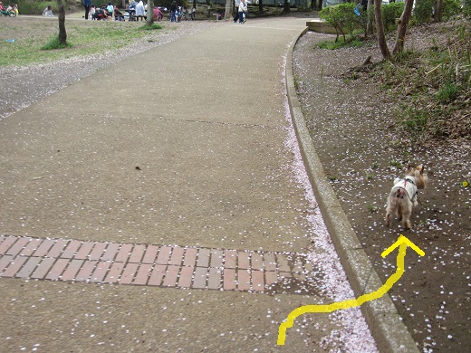 f0002833_192978.jpg