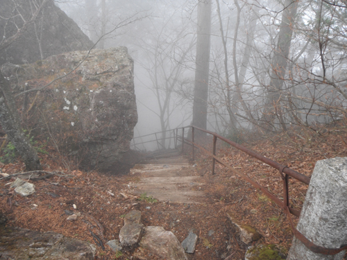 c0201143_1724555.jpg