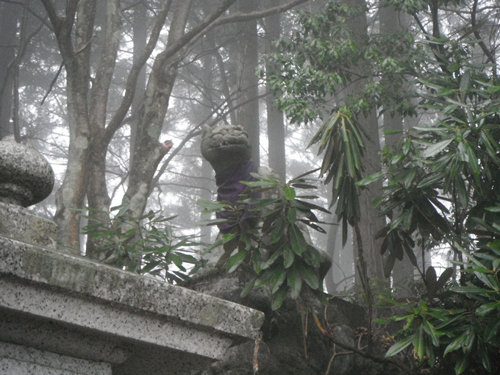 c0201143_1724638.jpg