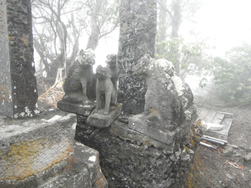 c0201143_1736273.jpg