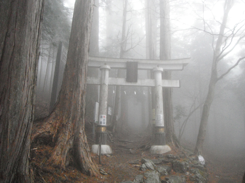 c0201143_1772896.jpg