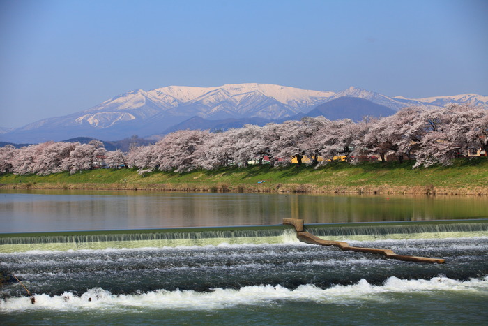 大河原　一目千本桜_c0226547_17441913.jpg