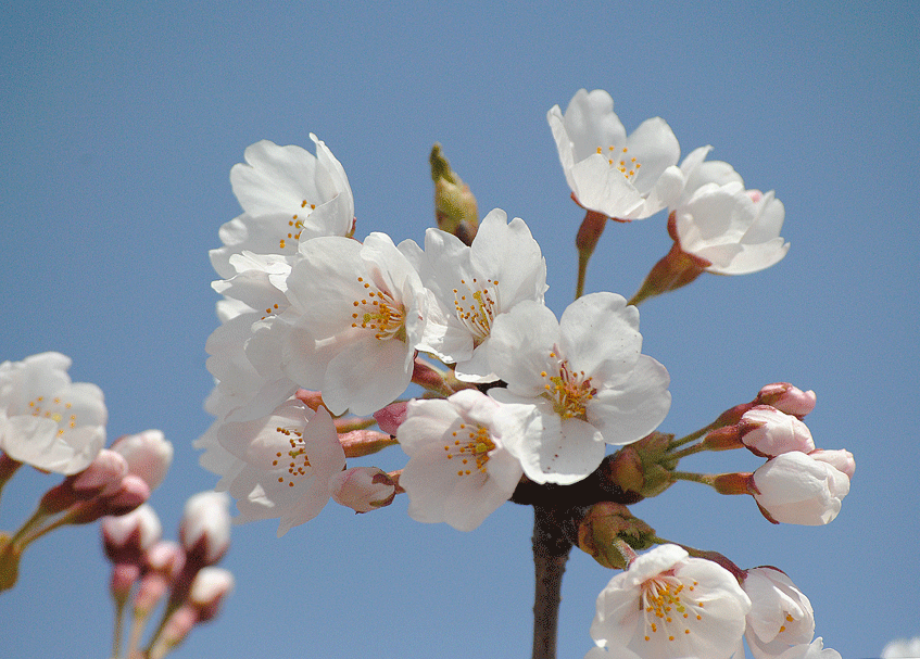 a0001354_23293691.gif