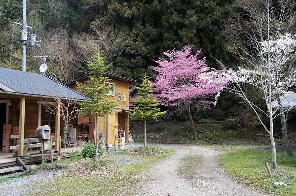 花と音楽に包まれての蔓籠教室_d0148555_21555616.jpg