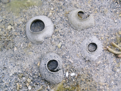 c0180460_1323961.jpg
