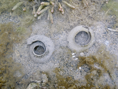c0180460_1332413.jpg