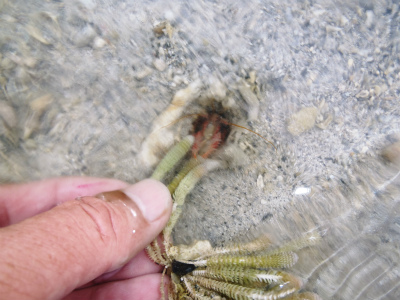 c0180460_143150.jpg