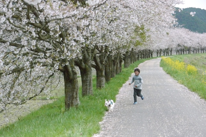 今年の花見_f0076260_14512142.jpg