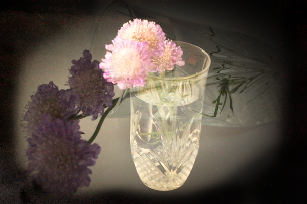 a0118162_14363975.png