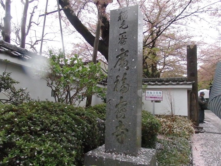 d0031171_8441569.jpg