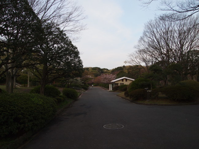 f0310873_07140484.jpg