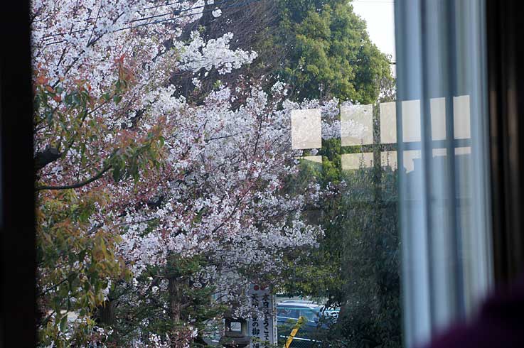 b0057679_9515287.jpg