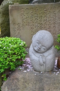 堺　超善寺花まつり・興覚寺・月蔵寺_c0229483_22345129.jpg