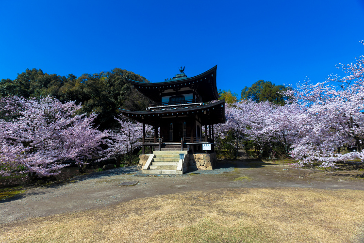 勧修寺_e0051888_3412613.jpg