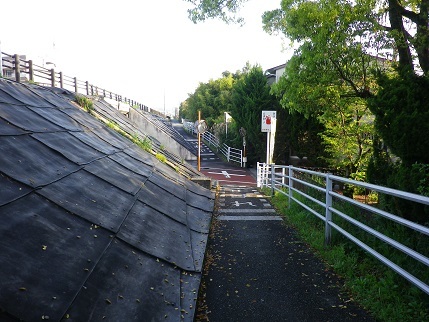 e0048994_10361062.jpg
